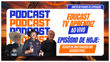 Notícia